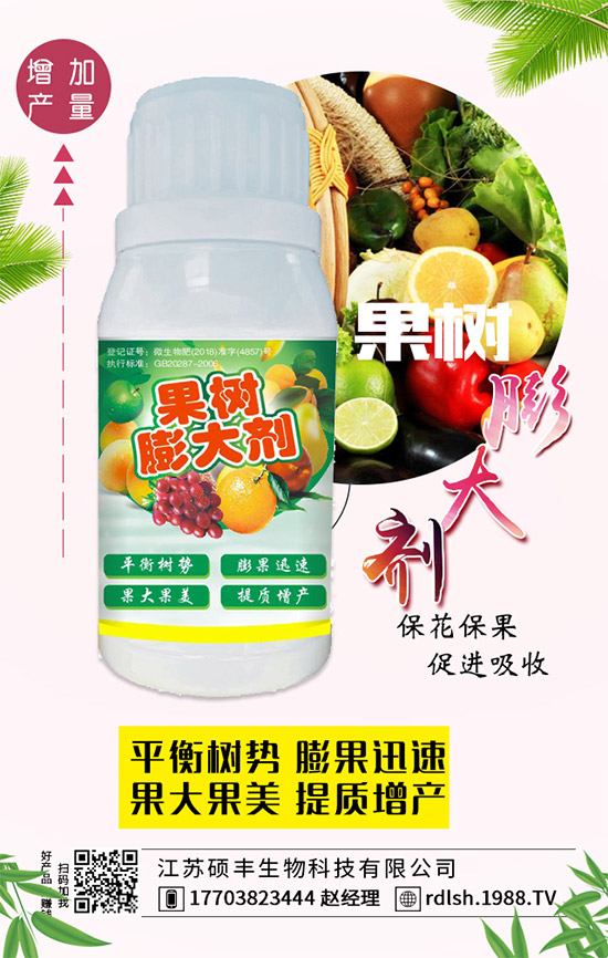 ��ľ���Ĺ�Ч�c��������ľ�����ʳ��������Щ��