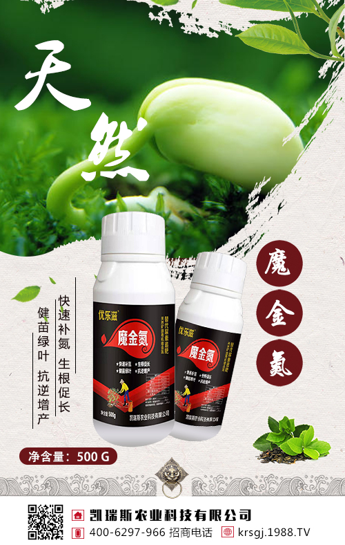 ���@��׷�ʣ��󶹸߮a(ch��n)����