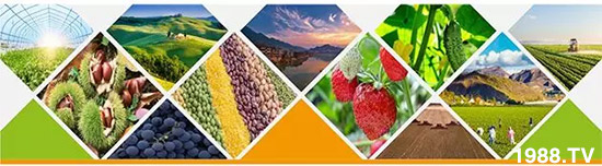 �����������L���߉��������ͷ���Ѹ����������ƌW(xu��)���L���g�޴���