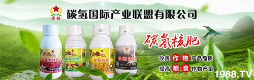 �����������L���߉��£����ͷ���Ѹ������������ƌW(xu��)���L���g�޴���