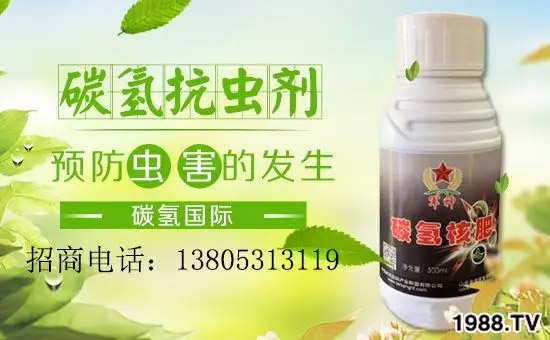 �����������L���߉��£����ͷ���Ѹ������������ƌW(xu��)���L���g�޴���