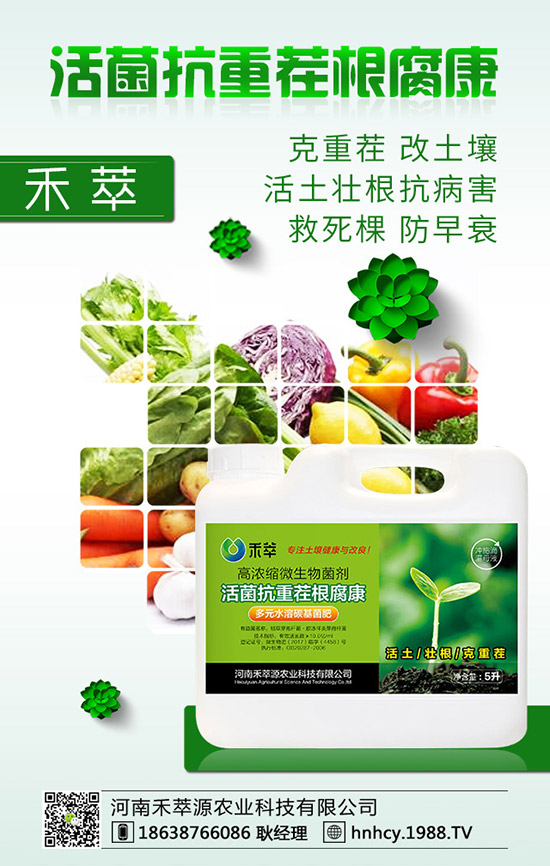 ����÷��ô�޽�������÷�޽ӷ�����