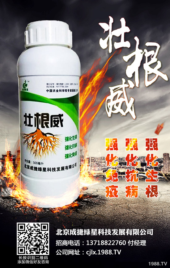 青椒的種植方法有哪些？青椒種植過程中需要注意的幾大問題