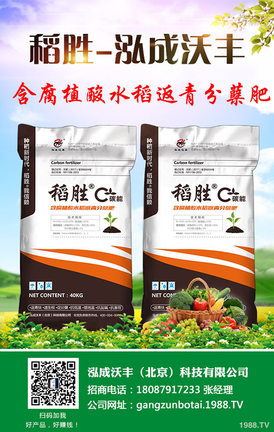     �R��������ڣ����؃r(ji��)�񯂝q�����������������2019-9-12