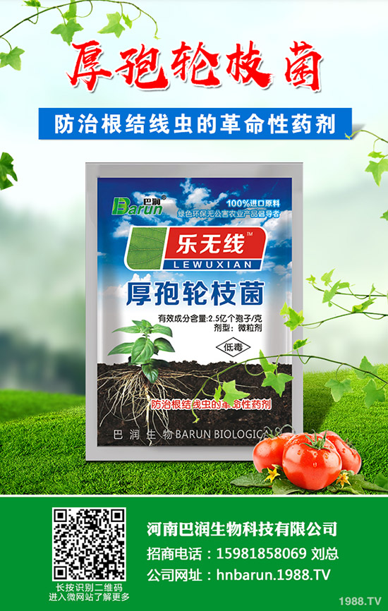 ��֦���~��ô�޼�����֦���~�޼�������