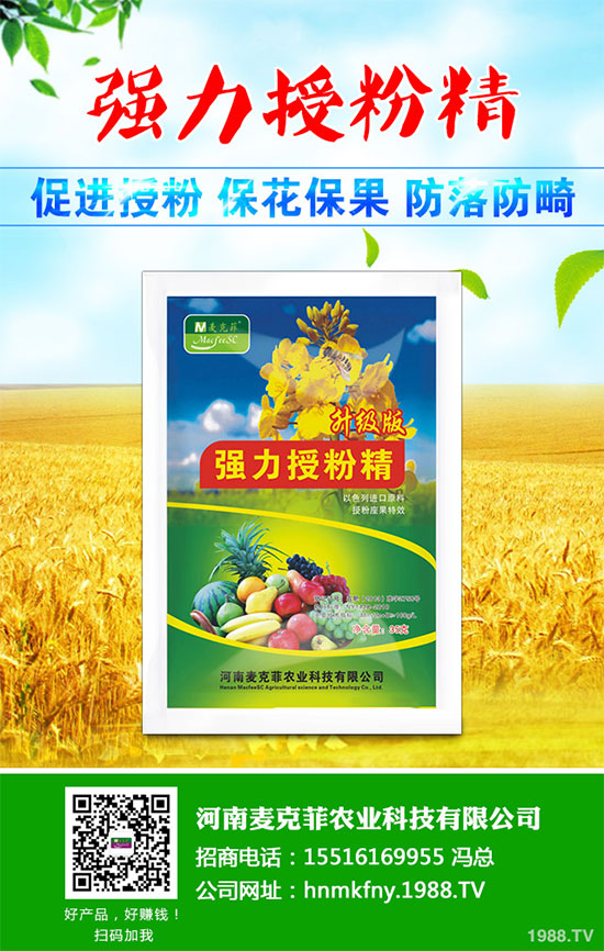 �������Щ�I(y��ng)�B(y��ng)�r(ji��)ֵ���Խ������Щ��̎����˵Ĺ�Ч�c����