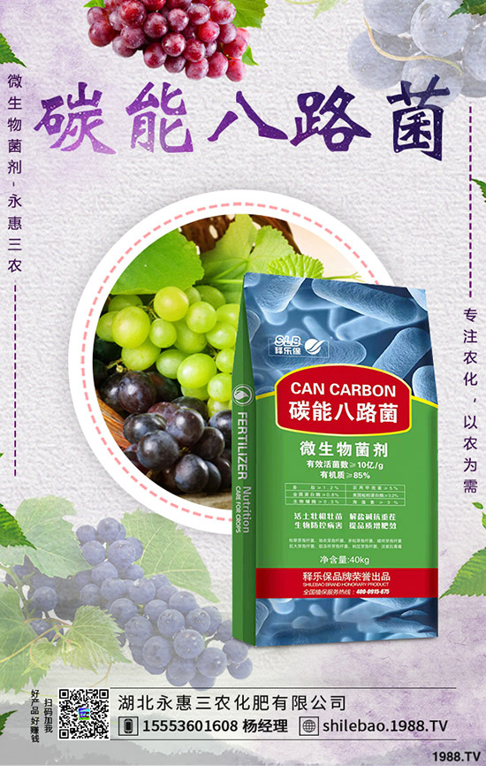 �������ʩ������Ҭ��ʩ�ʕr������Ҭ�˵�ʩ���������g���˽�ô��