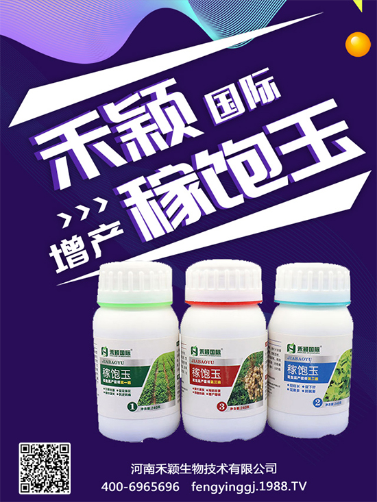 ����Nֲ���ի@�r(sh��)�g������Nֲ�����L�h(hu��n)����