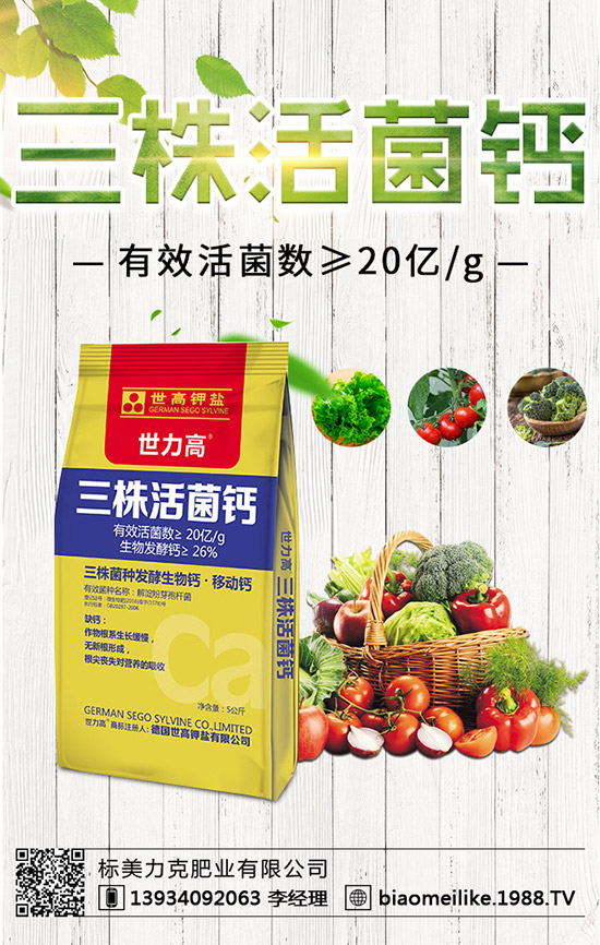 ���S��ʲô�r(sh��)������ã����S�������ע�����(xi��ng)��