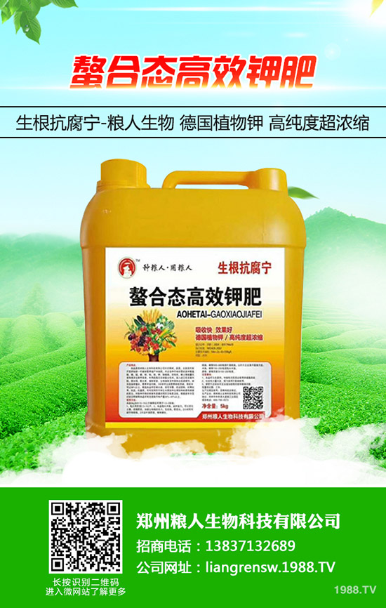 ���y�����ʩ�������y���߮a(ch��n)ʩ��Ҫ�c(di��n)��