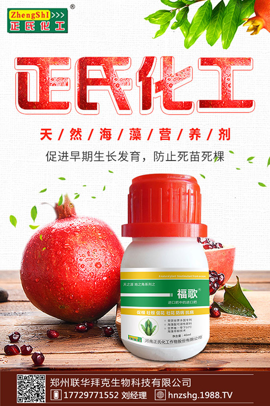 ���y����ʲô���ã����y���Ĺ�Ч�cʳ�ý�����