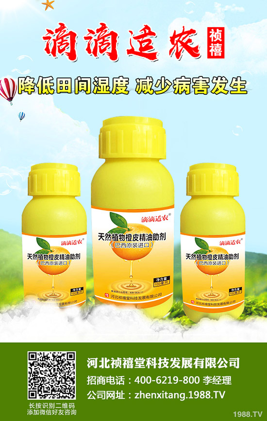 �＾��ݮ��ι������ܸ߮a(ch��n)���＾��ݮ��ֲ�������g(sh��)��