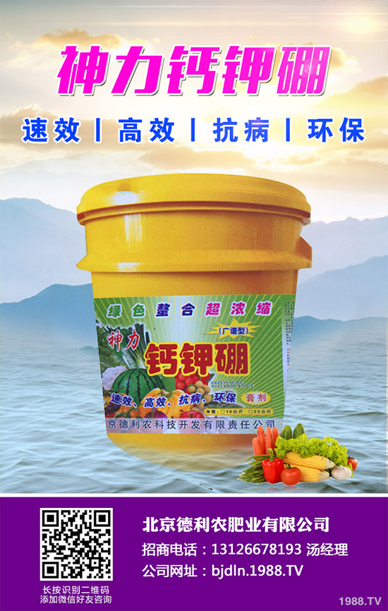 ������ô���N�����ӵĸ߮a(ch��n)�Nֲ������