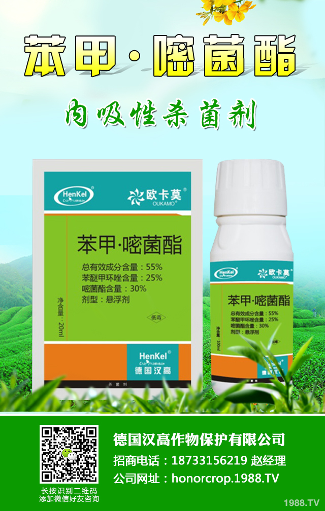 �����J������ô�k�������J�Ĵ󲡺����μ���