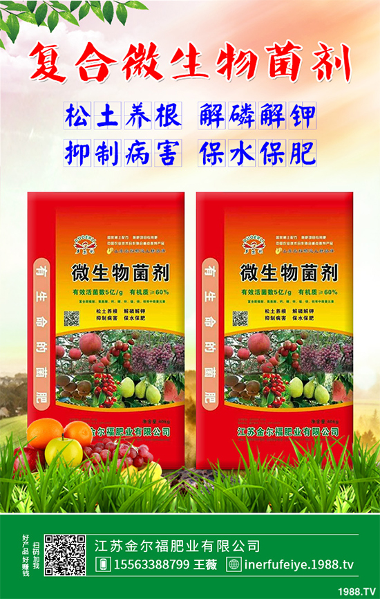 �㶹ʲô�r(sh��)��Nֲ��ԓ��ô�N���㶹�Nֲ�r(sh��)�g���Nֲ���g(sh��)Ҫ�c(di��n)