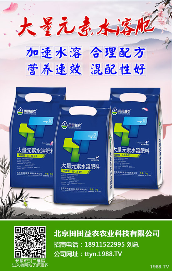 向日葵怎么種,向日葵高產(chǎn)管理技術(shù)有哪些?