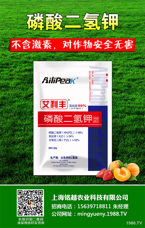 �㶹����������ЩΣ�����F(xi��n)��ԓ���ӷ������㶹���������η���