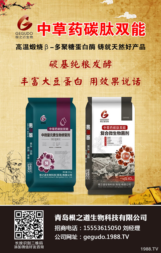     ����ʮ����ʲô����ע����������ӹ���������10�¹���ָ��(d��o)���h��