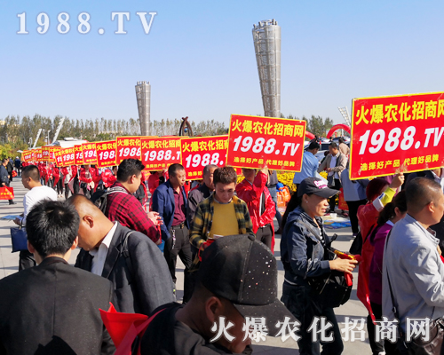 ���r(n��ng)�����̾W(w��ng)ʢ�b����2019��ʮ�����L��ֲ������