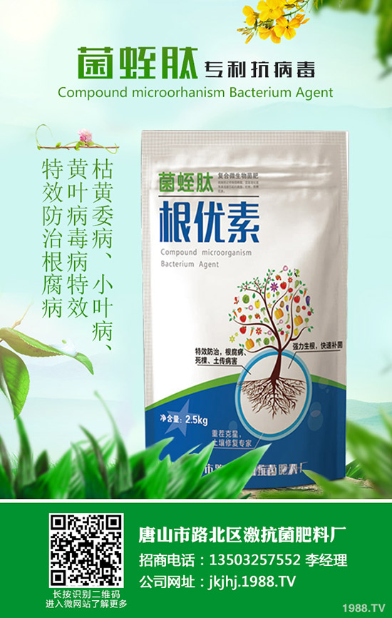 黑皮冬瓜什么時(shí)候種合適?黑皮冬瓜高產(chǎn)種植技巧!