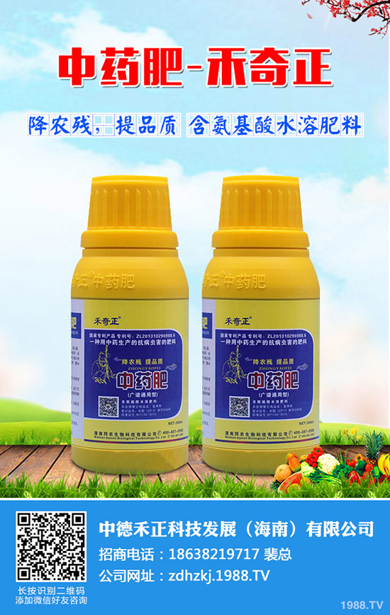 ��z�������������z�ϷNֲС������