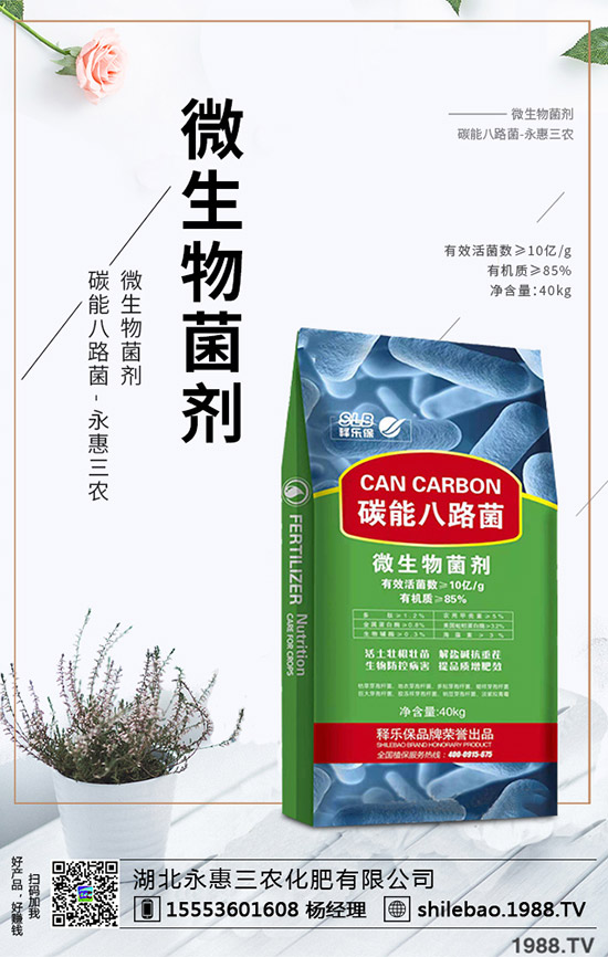     2019��9�µ�һ��������(n��i)��(f��)�Ϸʃr(ji��)�������߄��܈�(b��o)