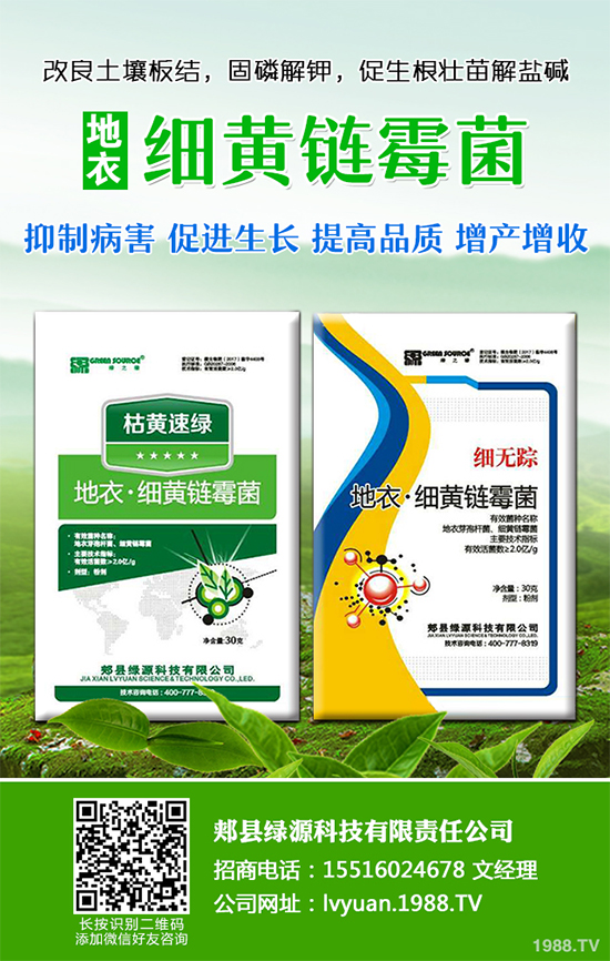 ���·Nʲô�߲˱��^����2019��9���߲˷Nֲָ��