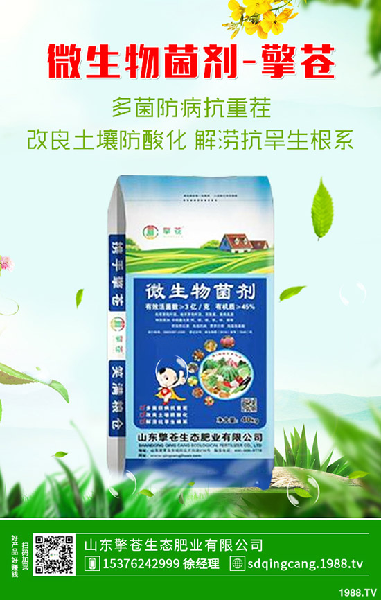     ���֏S�����؃r���ϝq��2020��1��10�ո��؅^(q��)�����������S��r��