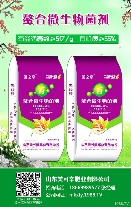     2020�����؃r(ji��)�������߄�(sh��)����������Xһ����