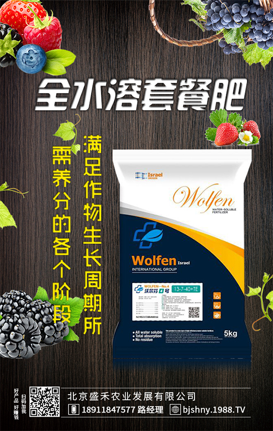 葫蘆種植時(shí)間是什么時(shí)候?葫蘆高產(chǎn)種植方法!