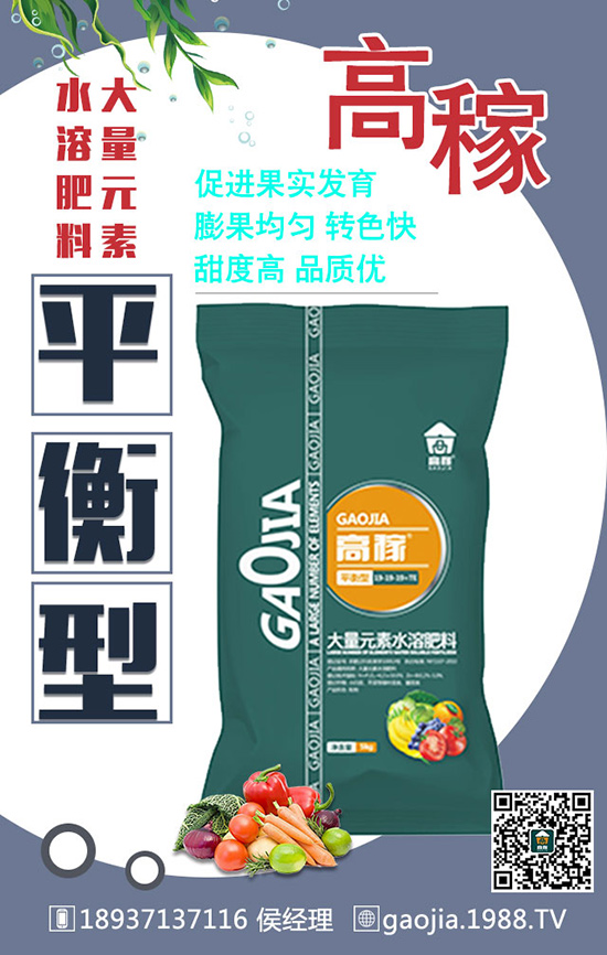 ���~����ա���߮a(ch��n)��ʩ�ʼ���Ҫץ�Σ�