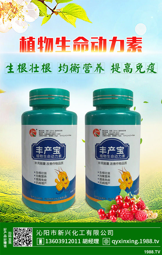 ���Ӳ��ܷN�ô�ײˣ���ײ˸߮a(ch��n)�Nֲ���g(sh��)Ҫ�c