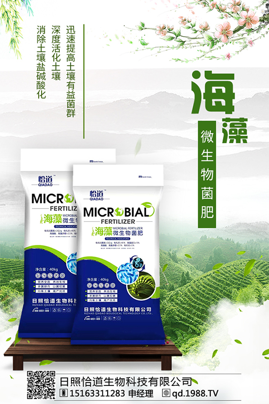     ��������Щ�I(y��ng)�B(y��ng)�r(ji��)ֵ����������ʲô��̎��