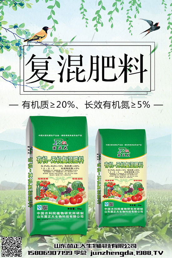 種植香菇前景如何?2020年香菇種植前景分析
