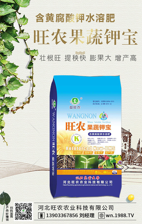 ���������L��(x��)������Щ���������B(y��ng)�oҪ�c��