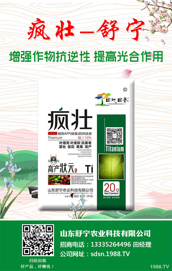 �Nֲ�㹽��ҪͶ��������㹽�Nֲ�ɱ���������