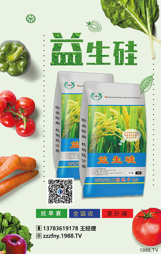 大蒜產(chǎn)量拔高,冬季施肥要注意四項(xiàng)!