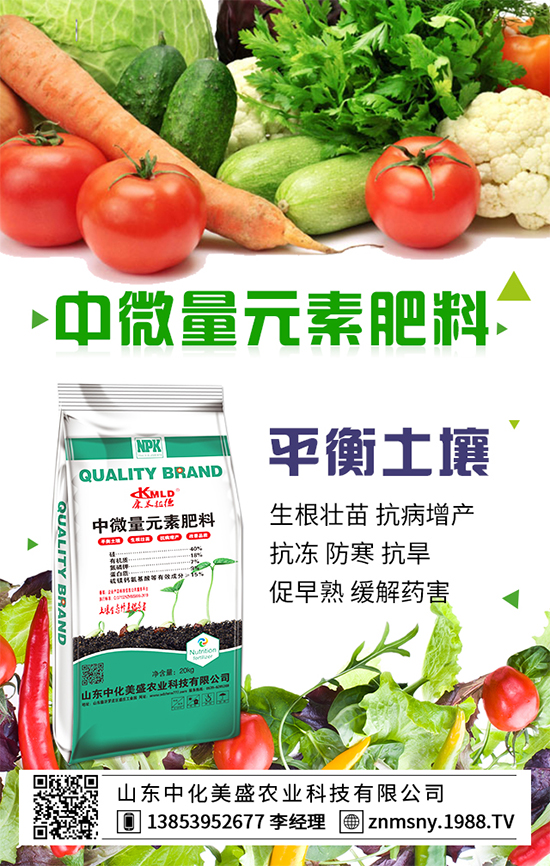 ������ݮ��ô����������ݮ������ʩ��