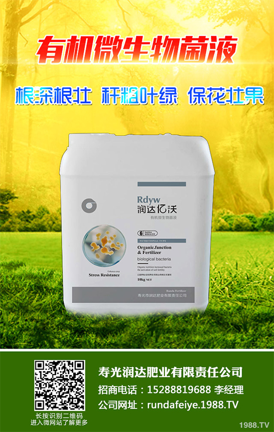 露地辣椒該如何施肥?露地辣椒高產(chǎn)施肥技術(shù)