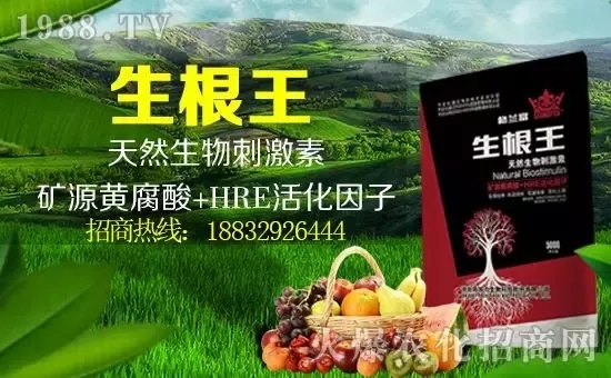 С���q�r(ji��)����(g��)�e��(b��o)�r(ji��)���^(gu��)2500Ԫ/����