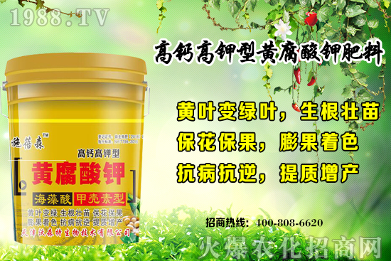 ��ݮ���L���h(hu��n)��Ҫ������Щ���＾��ݮ��ֲע�����(xi��ng)�͹�����ʽ��