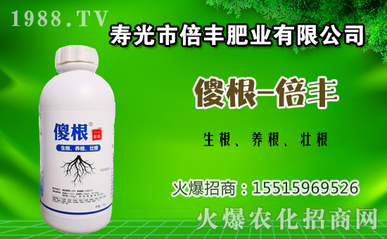 茄子種植該如何施肥?茄子的基肥與追肥方法!