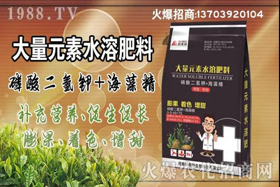 �߲����L(zh��ng)����ЩΣ��������߲˿�����Ҫ�c(di��n)��