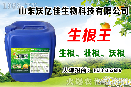 Ӱ푲�ݮ��ѿ�ֻ���������Щ����ݮ��ѿ�ֻ����c��ֲ����Ҫ�c(di��n)��