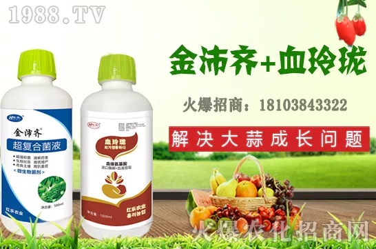     �ļ�ʯ�����L��(x��)������Щ���ļ�ʯ����ֲ���g(sh��)�������ڹ�����