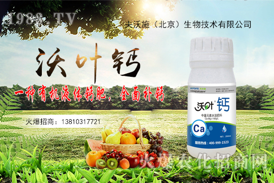 ����߀���ٝq����2020��10��20�ջ����r������