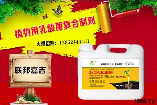 ���[���L�l������Щ�����[������c���＾������