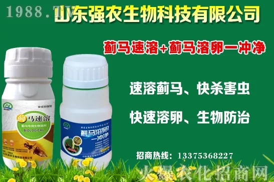 �ﶬ11�·Nֲʲô�߲˱��^���m���߲˷Nֲע�������