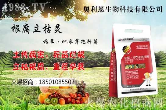 ���������Ĵ��`�^(q��)���Ď��c(di��n)�������߹�����ֲ�ĳɻ��ʣ�