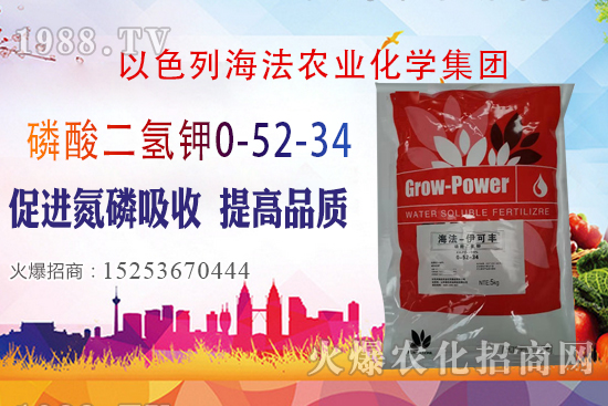 2020��10��28�����؃r��(w��n)�����������؃r�������